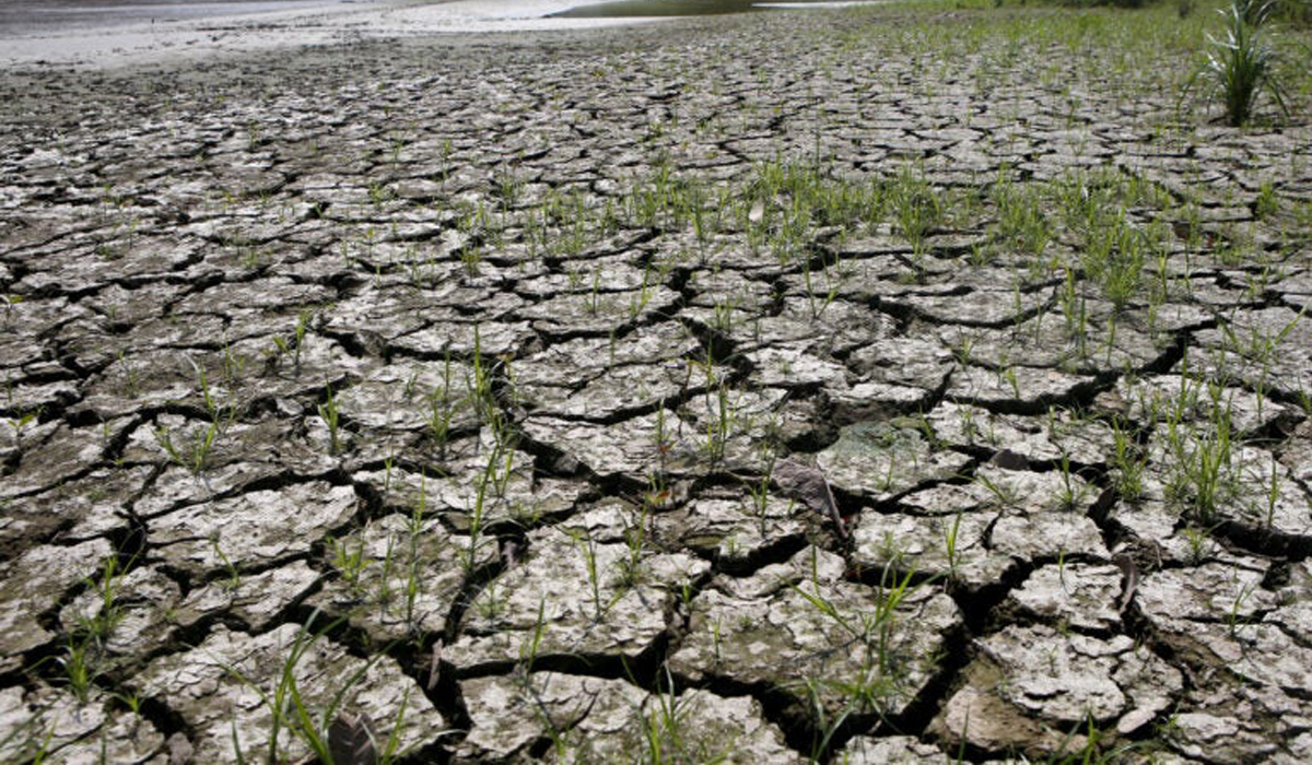 Global Temperature